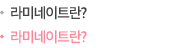 라미네이트란?